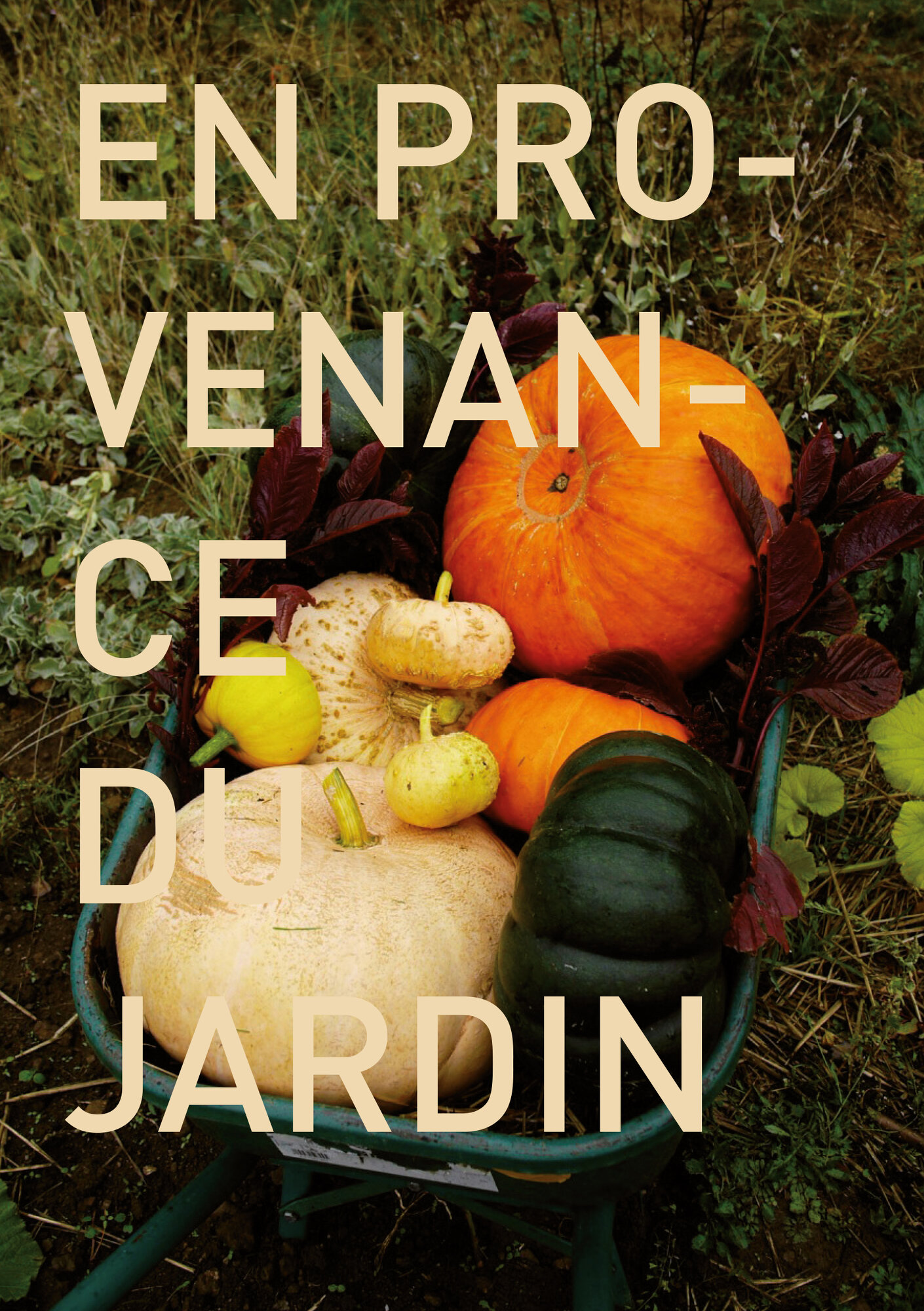 En-provenancedu-jardin-recto