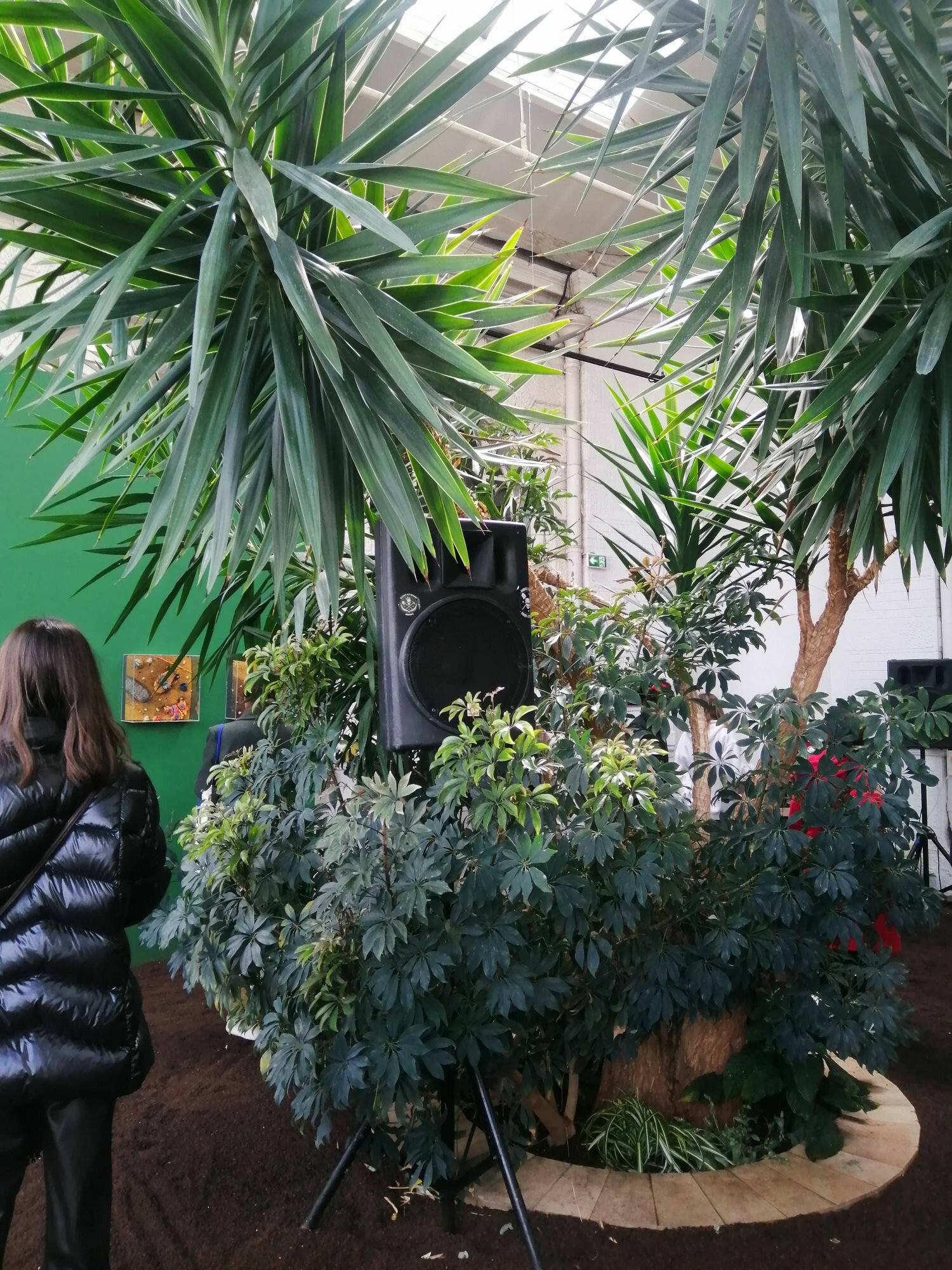 Jardin Jet d'eau